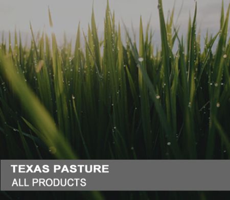 Picture for category Products