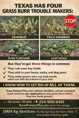 Picture of 10 Acre Sticker Burr Package